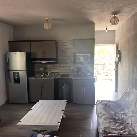 San José del Cabo Tropical Oasis Property المظهر الخارجي الصورة