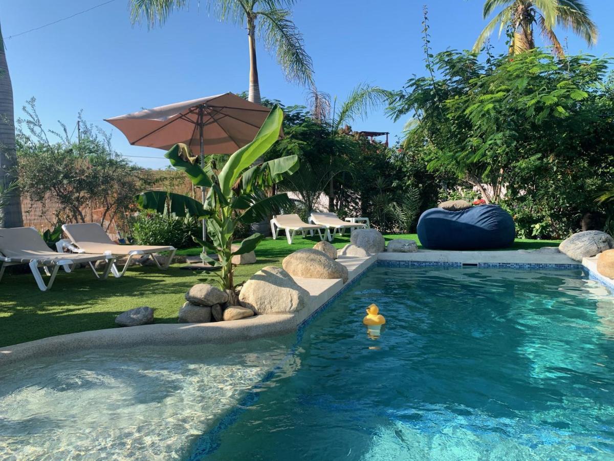 San José del Cabo Tropical Oasis Property المظهر الخارجي الصورة